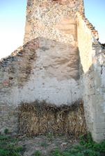 Borberek