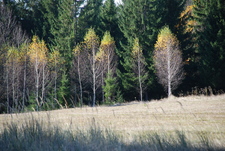 Székelyudvarhely