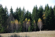Székelyudvarhely