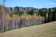 Székelyudvarhely