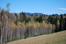 Székelyudvarhely