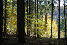 Székelyudvarhely
