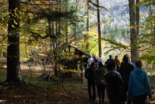 Székelyudvarhely