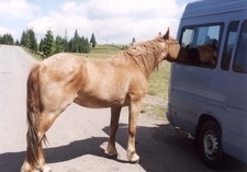 Kukucská-ló