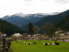 Kárpátok