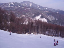 Látvány