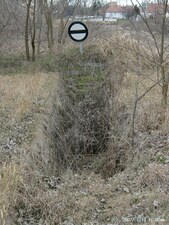 Kalocsa