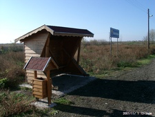 Ököritófülpös