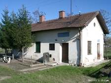 Újtikos