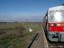 Reje