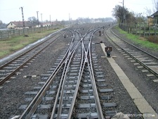 Mezőhegyes