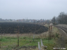 Bogárzó