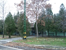 Szarvas