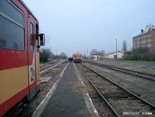 Szarvas; Bz 261