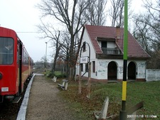 Tőserdő