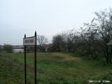 Városi park