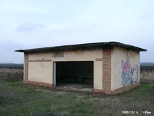 Gorzsa