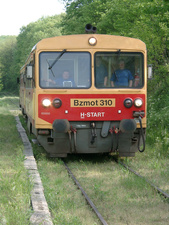 Sáferkút; Bz 310